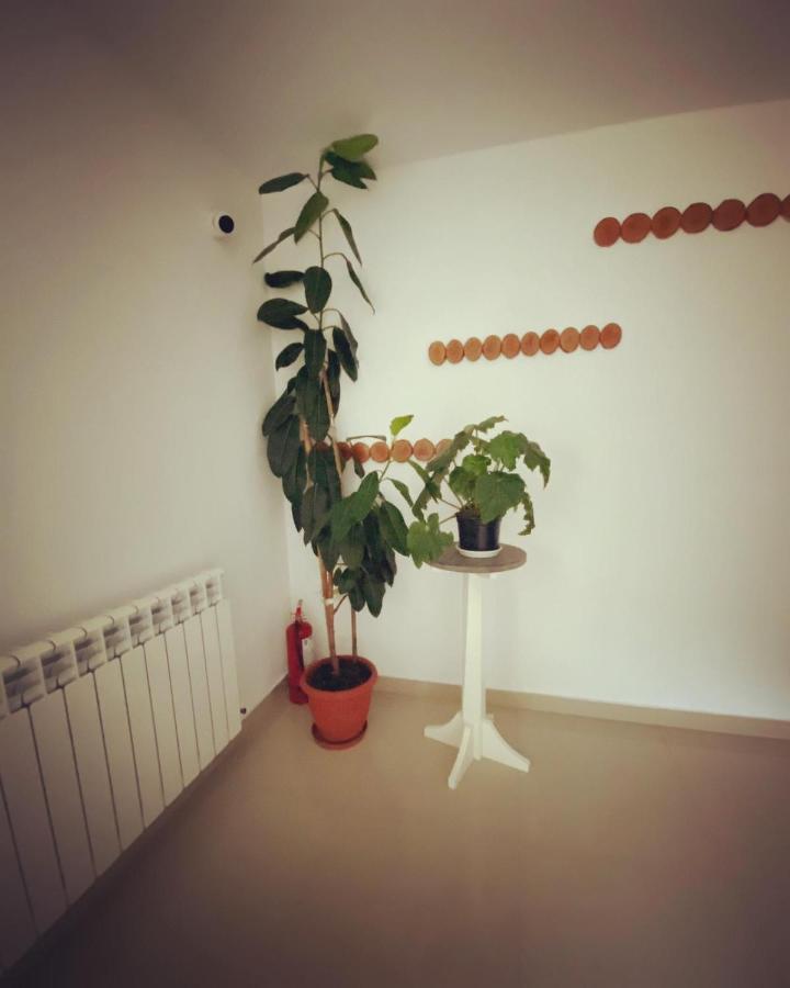 Maison Platanus Voineasa Buitenkant foto